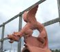 Brighton Dragon Ridge Tile
