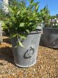 Small Ashford heavy duty riveted planter with ring handles