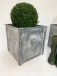 Galvanised garden planters