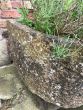 Lovely early 19th century D ended stone trough (slight damage,reduced, sold as seen)