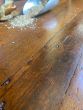 Reclaimed Mahogany plank flooring 