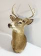 Large vintage deers head with antlers