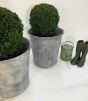 Vintage style garden planters Ireland