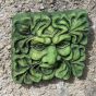 Garden wall plaque