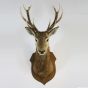 Vintage stags head