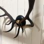 Large Vintage black antlers on black plaque