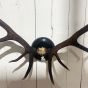 Large Vintage black antlers on black plaque
