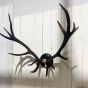 Large Vintage black antlers on black plaque