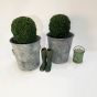 Stylish garden planters