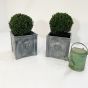 Stylish garden planters