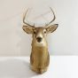 Large vintage deers head with antlers