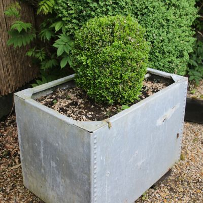 Original galvanised tank planter 
