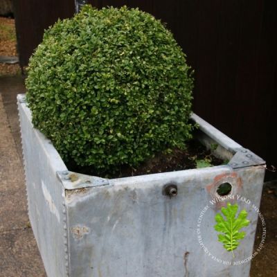 Galvanised Steel Planter