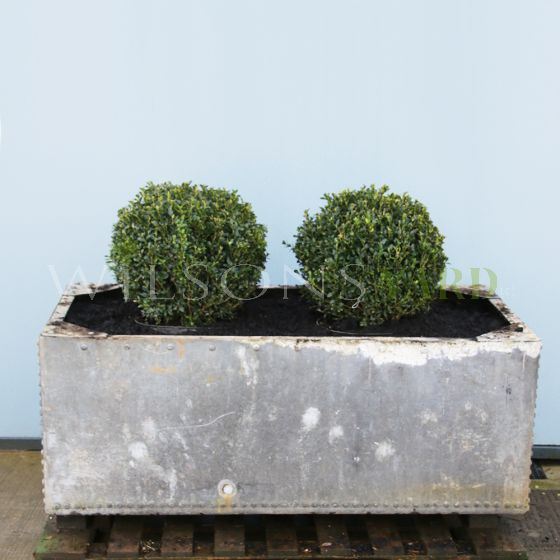 Vintage tank planters