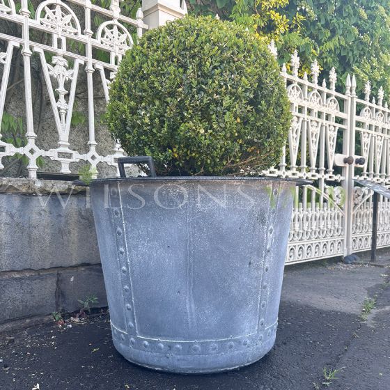 Extremely Large Balmoral heavy duty riveted planter 