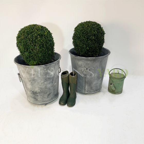 Stylish garden planters
