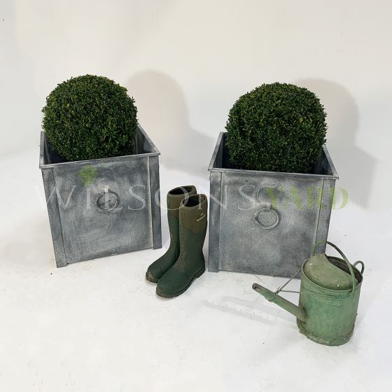 Stylish garden planters