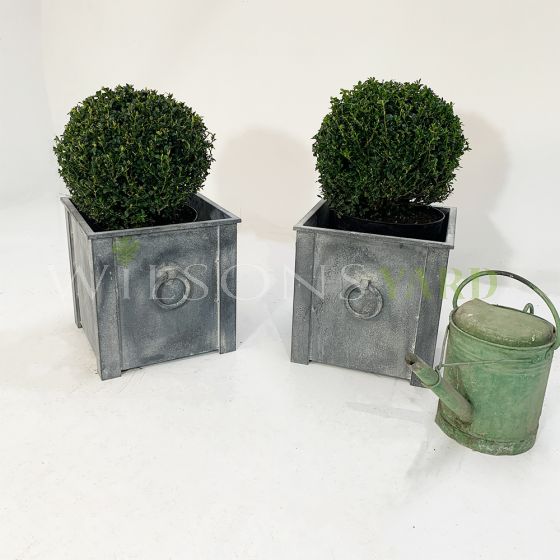 Stylish garden planters