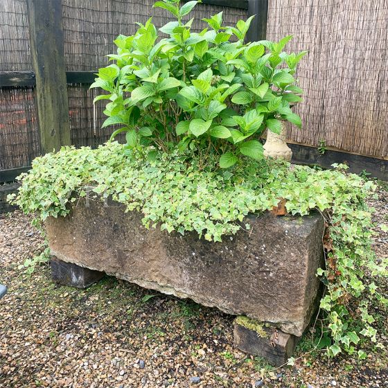 Large 19th century stone trough nicely weathered
