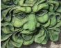 Decorative green man wall plaque
